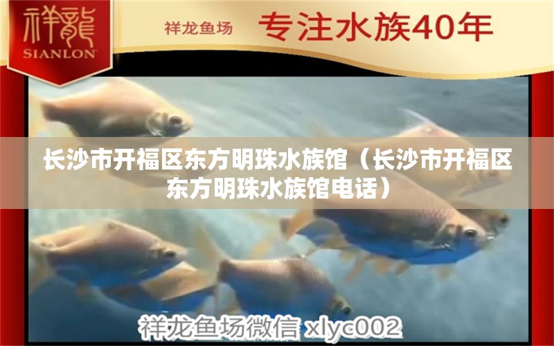 长沙市开福区东方明珠水族馆（长沙市开福区东方明珠水族馆电话）