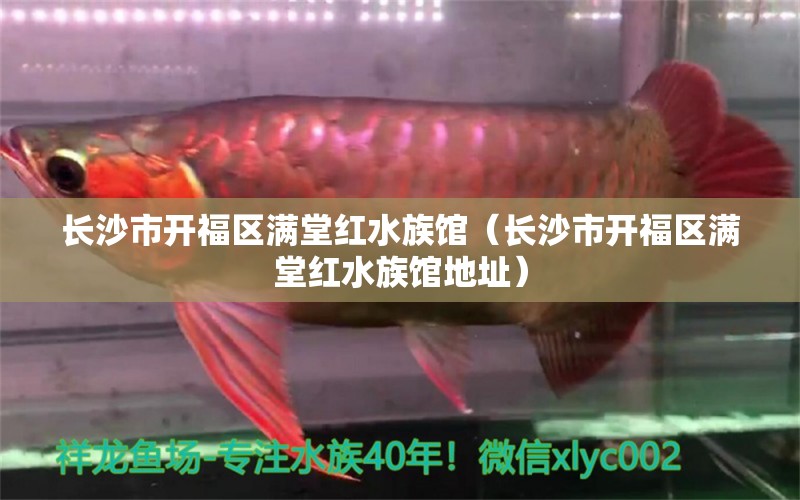 长沙市开福区满堂红水族馆（长沙市开福区满堂红水族馆地址） 全国水族馆企业名录