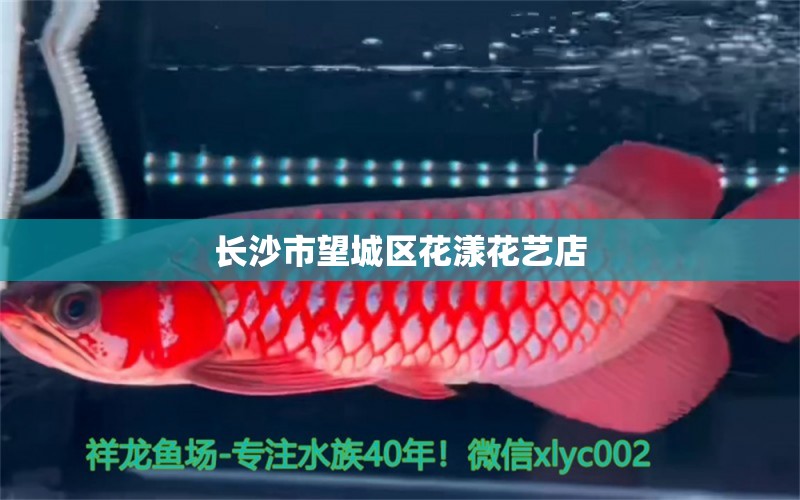 长沙市望城区花漾花艺店 全国水族馆企业名录