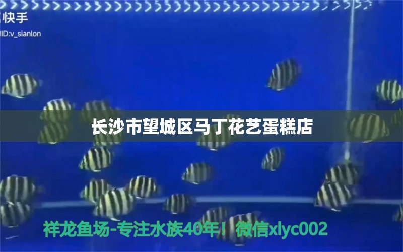 长沙市望城区马丁花艺蛋糕店 全国水族馆企业名录