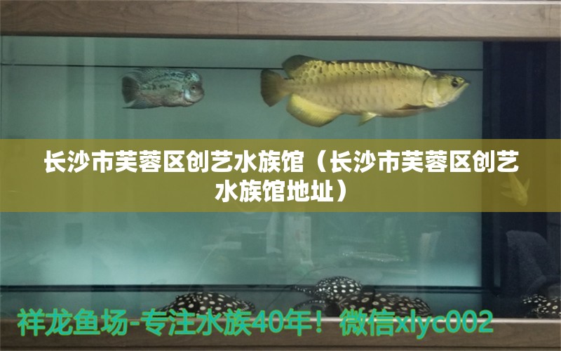 长沙市芙蓉区创艺水族馆（长沙市芙蓉区创艺水族馆地址）