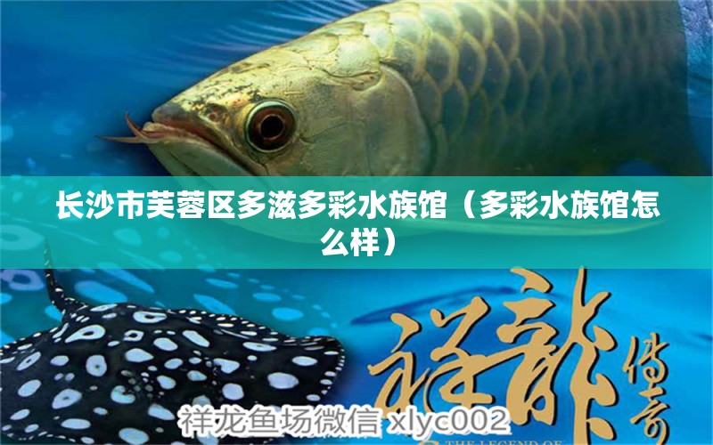 长沙市芙蓉区多滋多彩水族馆（多彩水族馆怎么样）