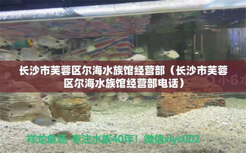 长沙市芙蓉区尔海水族馆经营部（长沙市芙蓉区尔海水族馆经营部电话）