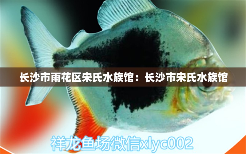 长沙市雨花区宋氏水族馆：长沙市宋氏水族馆 全国观赏鱼市场 第2张