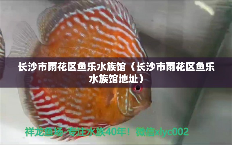 长沙市雨花区鱼乐水族馆（长沙市雨花区鱼乐水族馆地址）