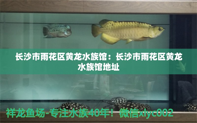 长沙市雨花区黄龙水族馆：长沙市雨花区黄龙水族馆地址 全国水族馆企业名录