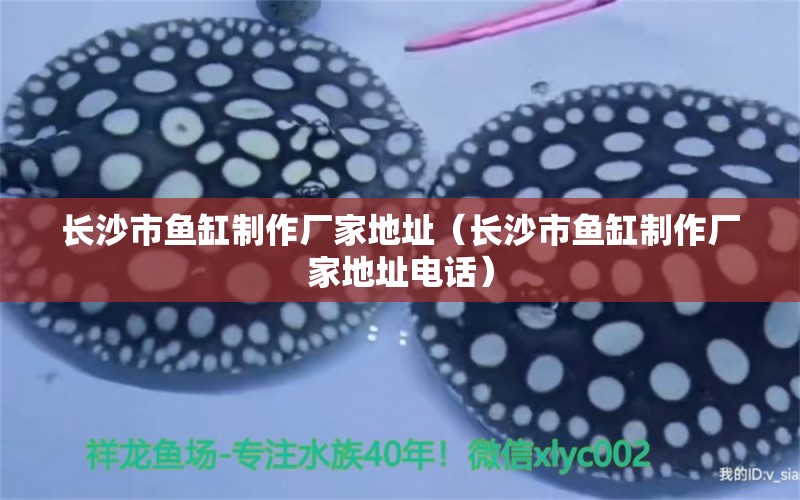 长沙市鱼缸制作厂家地址（长沙市鱼缸制作厂家地址电话） 其他品牌鱼缸