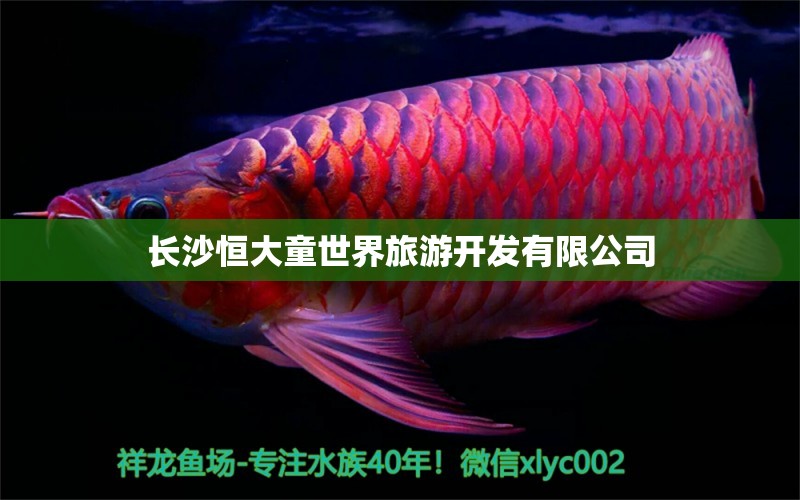 长沙恒大童世界旅游开发有限公司 全国水族馆企业名录