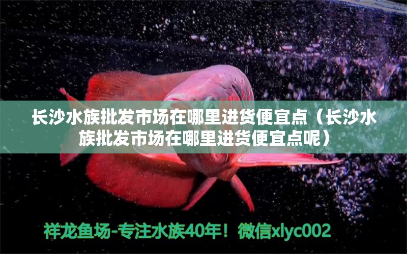 长沙水族批发市场在哪里进货便宜点（长沙水族批发市场在哪里进货便宜点呢） 养鱼知识 第1张