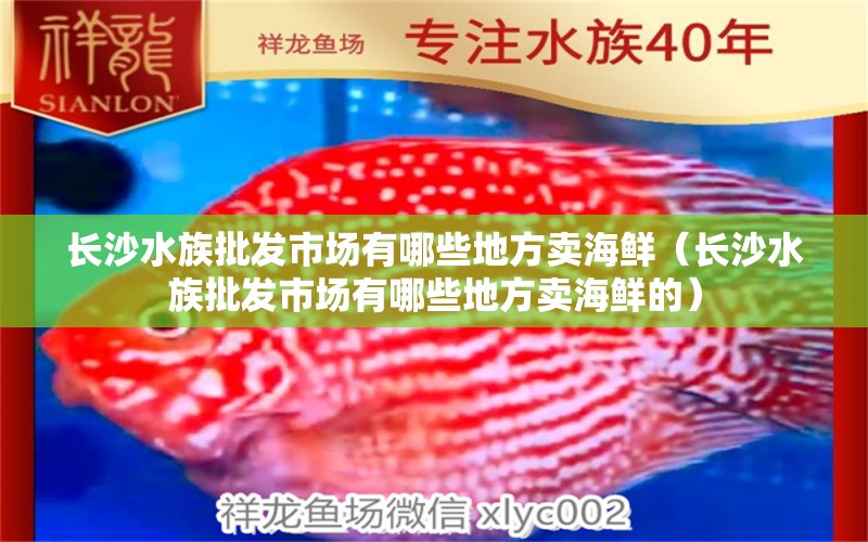 长沙水族批发市场有哪些地方卖海鲜（长沙水族批发市场有哪些地方卖海鲜的）