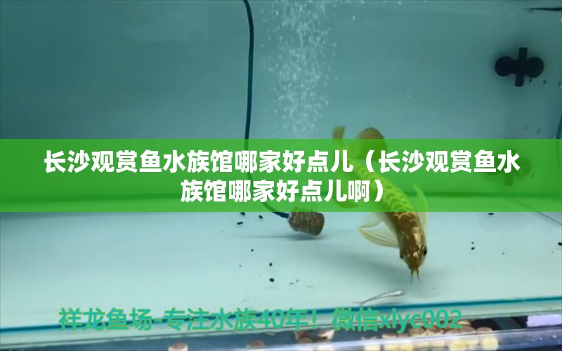 长沙观赏鱼水族馆哪家好点儿（长沙观赏鱼水族馆哪家好点儿啊） 量子养鱼技术