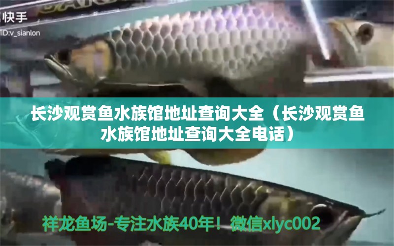 长沙观赏鱼水族馆地址查询大全（长沙观赏鱼水族馆地址查询大全电话） 元宝凤凰鱼专用鱼粮