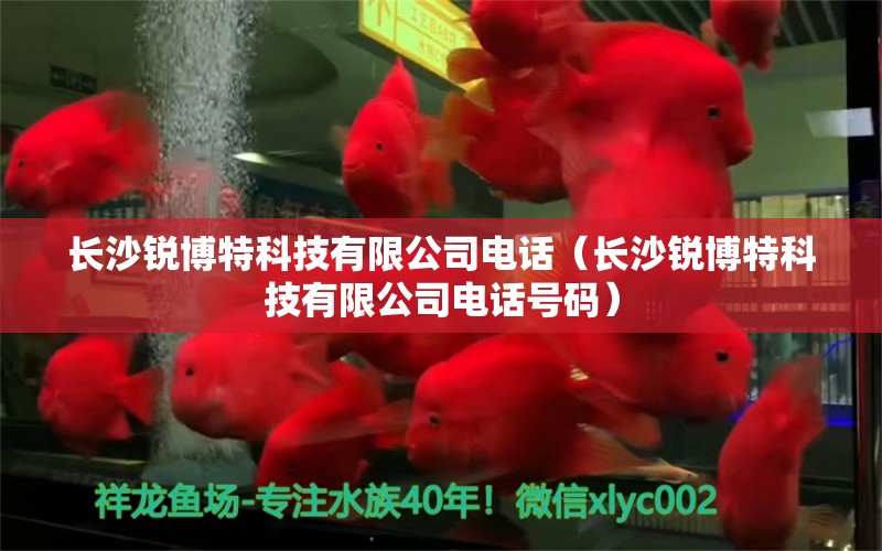 长沙锐博特科技有限公司电话（长沙锐博特科技有限公司电话号码）