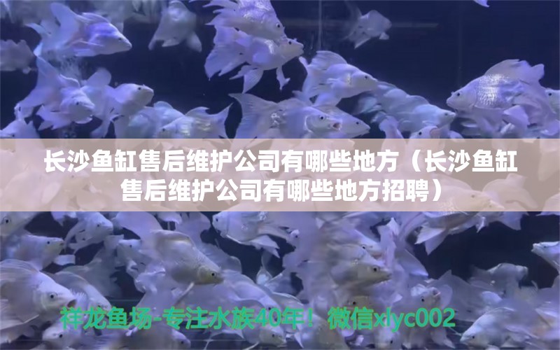 长沙鱼缸售后维护公司有哪些地方（长沙鱼缸售后维护公司有哪些地方招聘） 其他品牌鱼缸