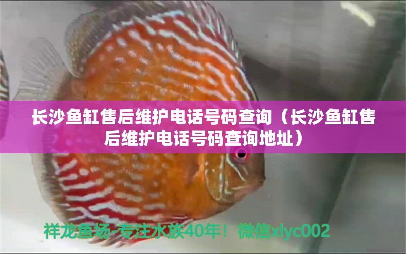 长沙鱼缸售后维护电话号码查询（长沙鱼缸售后维护电话号码查询地址）