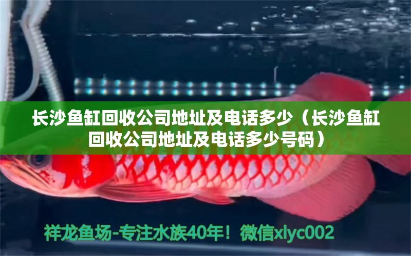 长沙鱼缸回收公司地址及电话多少（长沙鱼缸回收公司地址及电话多少号码） 孵化器