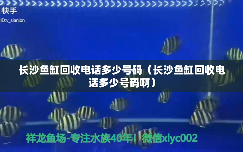 长沙鱼缸回收电话多少号码（长沙鱼缸回收电话多少号码啊） 观赏鱼市场（混养鱼）