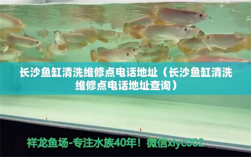 长沙鱼缸清洗维修点电话地址（长沙鱼缸清洗维修点电话地址查询）