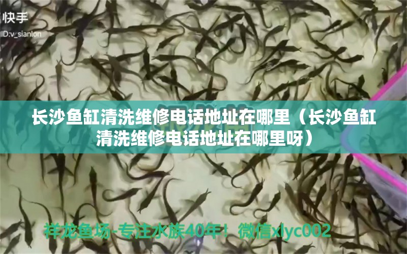 长沙鱼缸清洗维修电话地址在哪里（长沙鱼缸清洗维修电话地址在哪里呀）