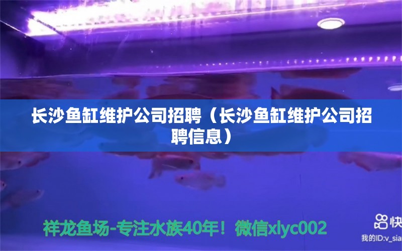 长沙鱼缸维护公司招聘（长沙鱼缸维护公司招聘信息） 其他品牌鱼缸