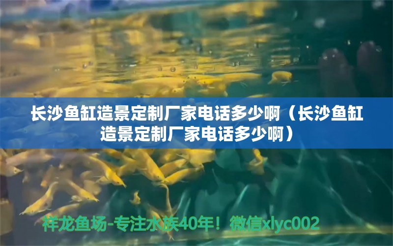 长沙鱼缸造景定制厂家电话多少啊（长沙鱼缸造景定制厂家电话多少啊） 祥龙鱼场