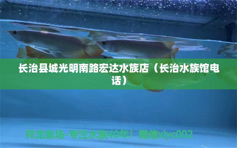 长治县城光明南路宏达水族店（长治水族馆电话）