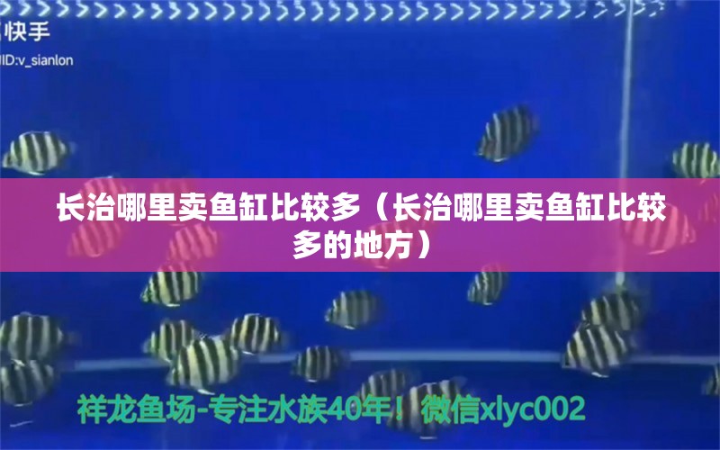 长治哪里卖鱼缸比较多（长治哪里卖鱼缸比较多的地方）