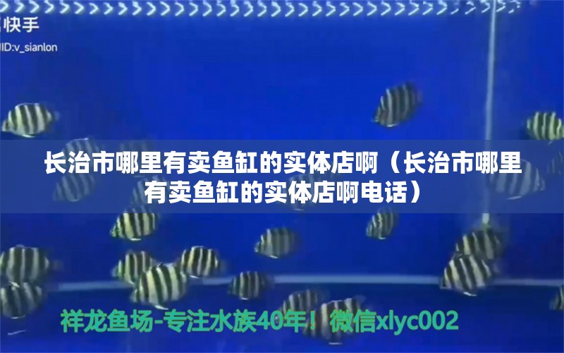 长治市哪里有卖鱼缸的实体店啊（长治市哪里有卖鱼缸的实体店啊电话）