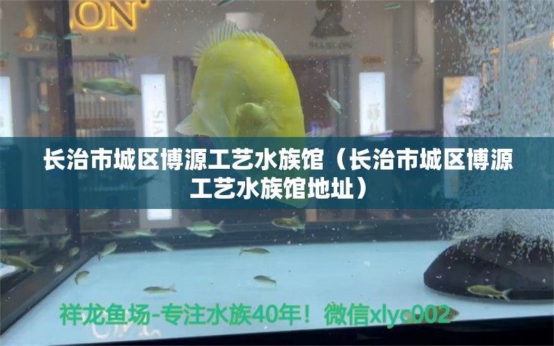 长治市城区博源工艺水族馆（长治市城区博源工艺水族馆地址）