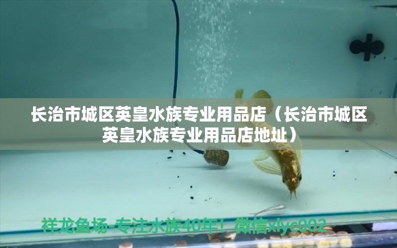 长治市城区英皇水族专业用品店（长治市城区英皇水族专业用品店地址）