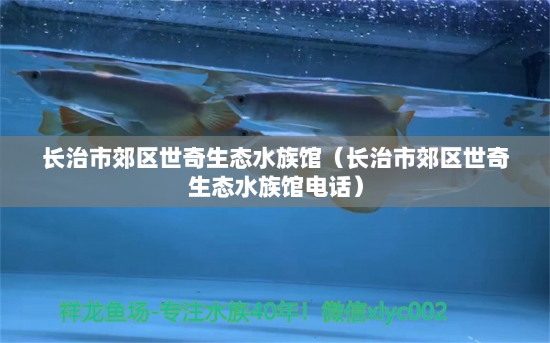 长治市郊区世奇生态水族馆（长治市郊区世奇生态水族馆电话）