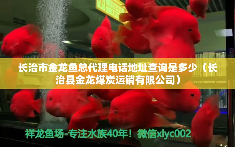 长治市金龙鱼总代理电话地址查询是多少（长治县金龙煤炭运销有限公司）