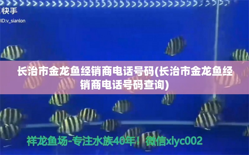 长治市金龙鱼经销商电话号码(长治市金龙鱼经销商电话号码查询) 红龙福龙鱼