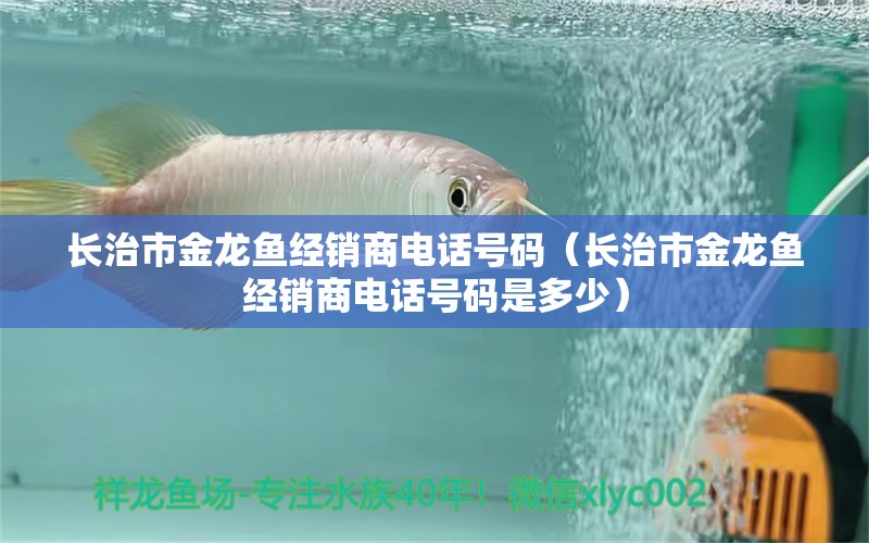 长治市金龙鱼经销商电话号码（长治市金龙鱼经销商电话号码是多少）