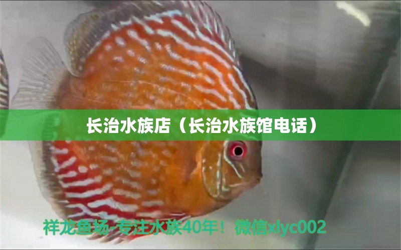 长治水族店（长治水族馆电话）