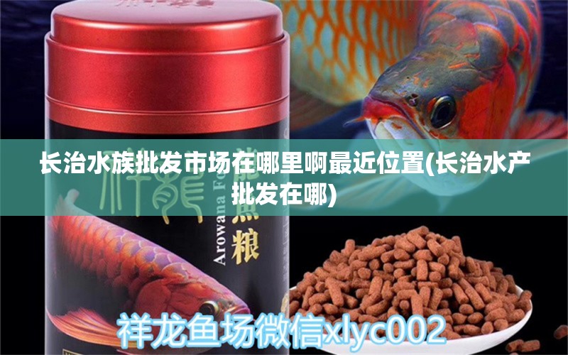 长治水族批发市场在哪里啊最近位置(长治水产批发在哪) 观赏鱼水族批发市场