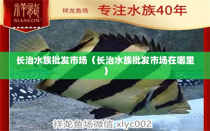 长治水族批发市场（长治水族批发市场在哪里）