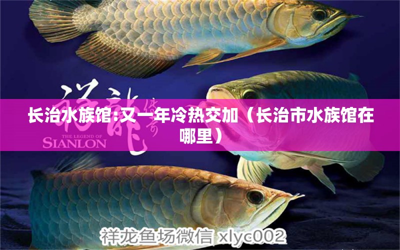 长治水族馆:又一年冷热交加（长治市水族馆在哪里）