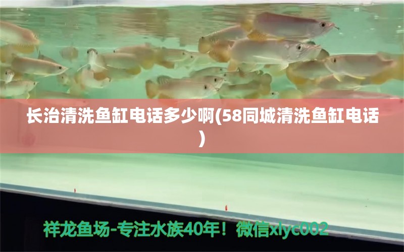 长治清洗鱼缸电话多少啊(58同城清洗鱼缸电话)