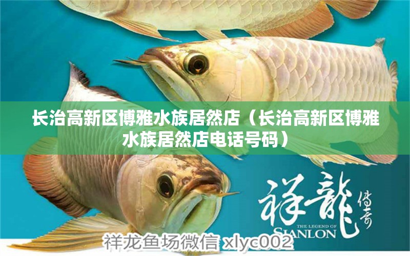 长治高新区博雅水族居然店（长治高新区博雅水族居然店电话号码）