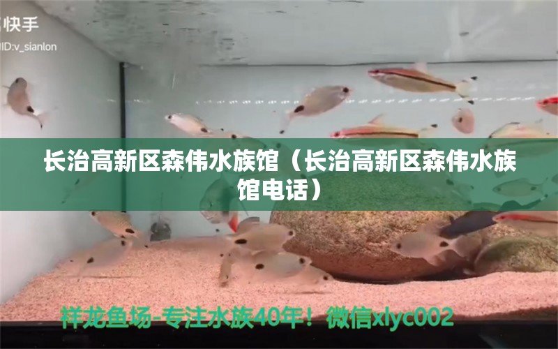 长治高新区森伟水族馆（长治高新区森伟水族馆电话）