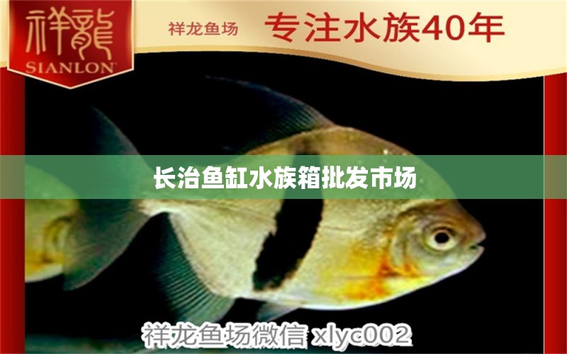 长治鱼缸水族箱批发市场