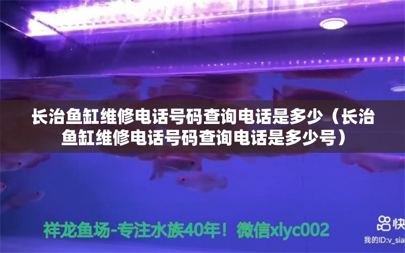 长治鱼缸维修电话号码查询电话是多少（长治鱼缸维修电话号码查询电话是多少号）