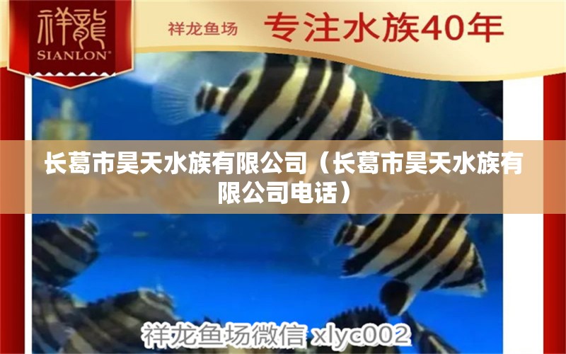 长葛市昊天水族有限公司（长葛市昊天水族有限公司电话） 全国水族馆企业名录