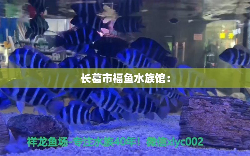 长葛市福鱼水族馆： 全国水族馆企业名录