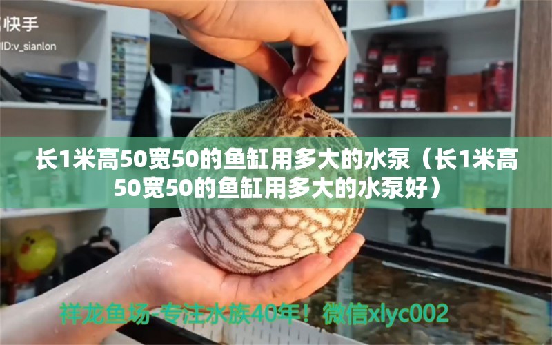 长1米高50宽50的鱼缸用多大的水泵（长1米高50宽50的鱼缸用多大的水泵好）