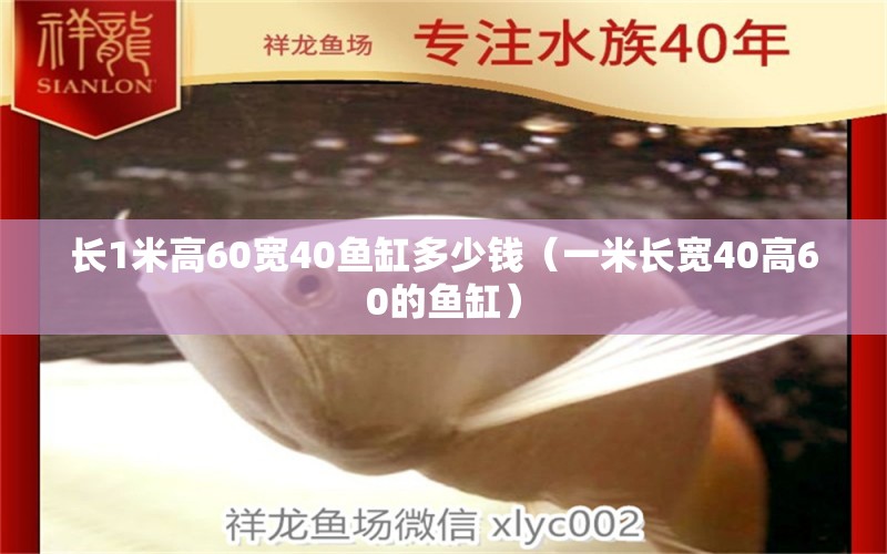 长1米高60宽40鱼缸多少钱（一米长宽40高60的鱼缸） 其他品牌鱼缸