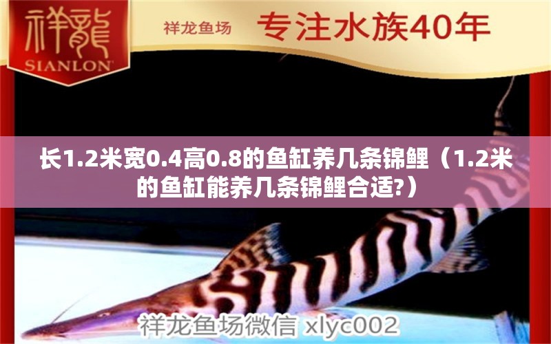 长1.2米宽0.4高0.8的鱼缸养几条锦鲤（1.2米的鱼缸能养几条锦鲤合适?） 鱼缸百科