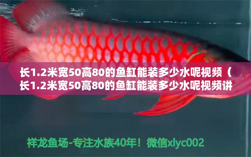 长1.2米宽50高80的鱼缸能装多少水呢视频（长1.2米宽50高80的鱼缸能装多少水呢视频讲解）