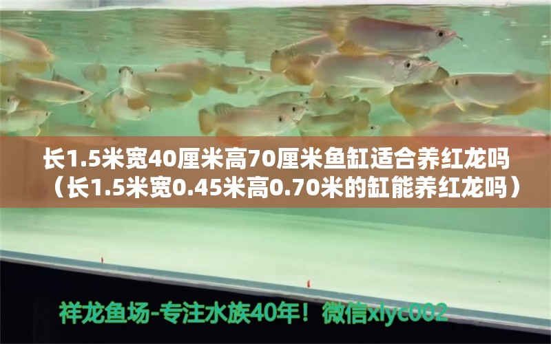 长1.5米宽40厘米高70厘米鱼缸适合养红龙吗（长1.5米宽0.45米高0.70米的缸能养红龙吗）